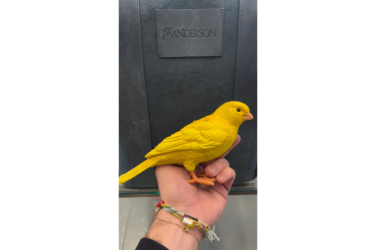 JW Anderson canary bird clutch
