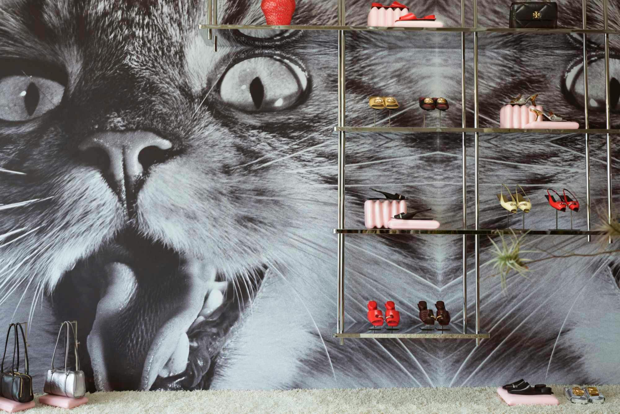 Tory Burch's cat-themed pop-up store in Los Angeles