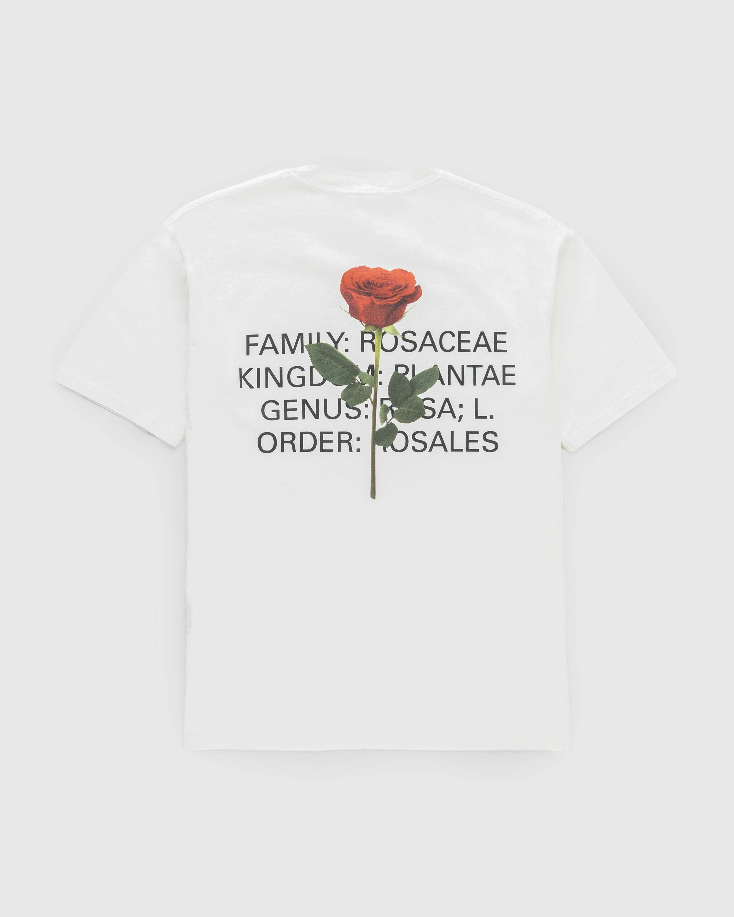 Highsnobiety - Rose T-Shirt White - Clothing - White - Image 2
