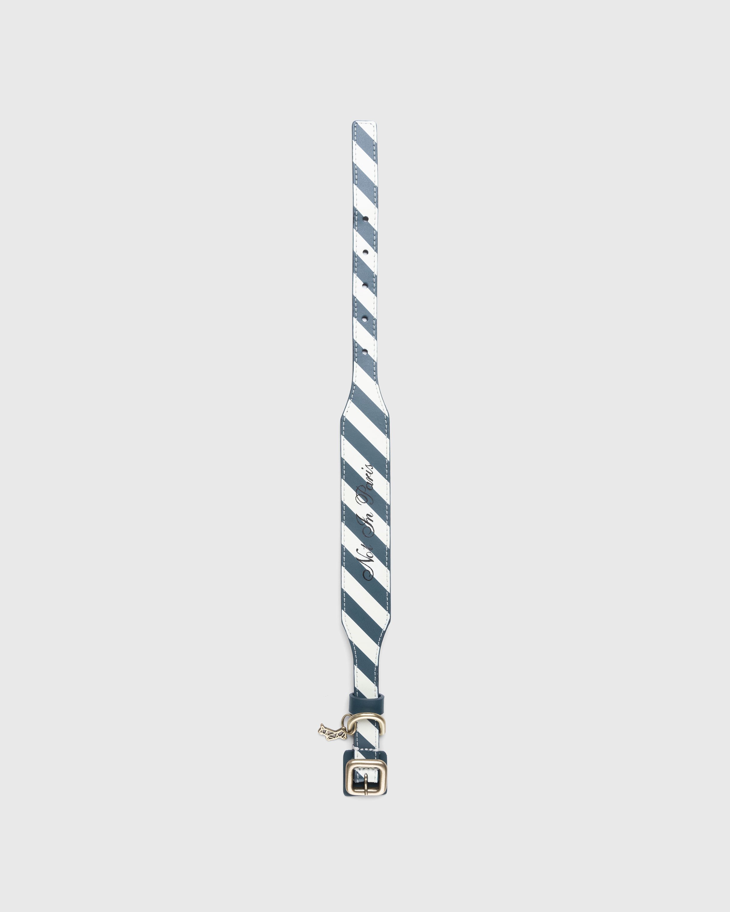 Poldo x Highsnobiety - Striped Dog Collar - Lifestyle - Green/White - Image 1