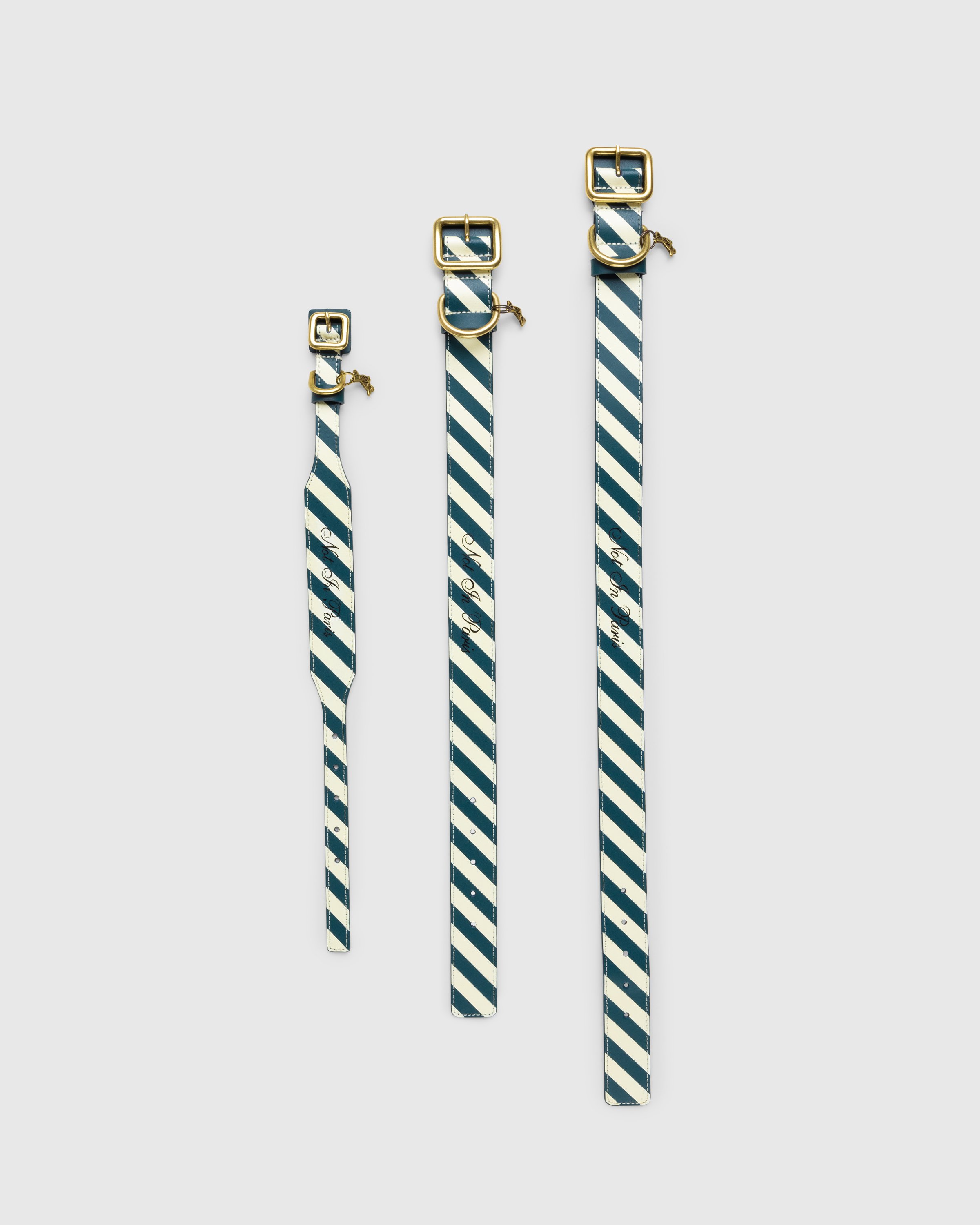 Poldo x Highsnobiety - Striped Dog Collar - Lifestyle - Green/White - Image 4