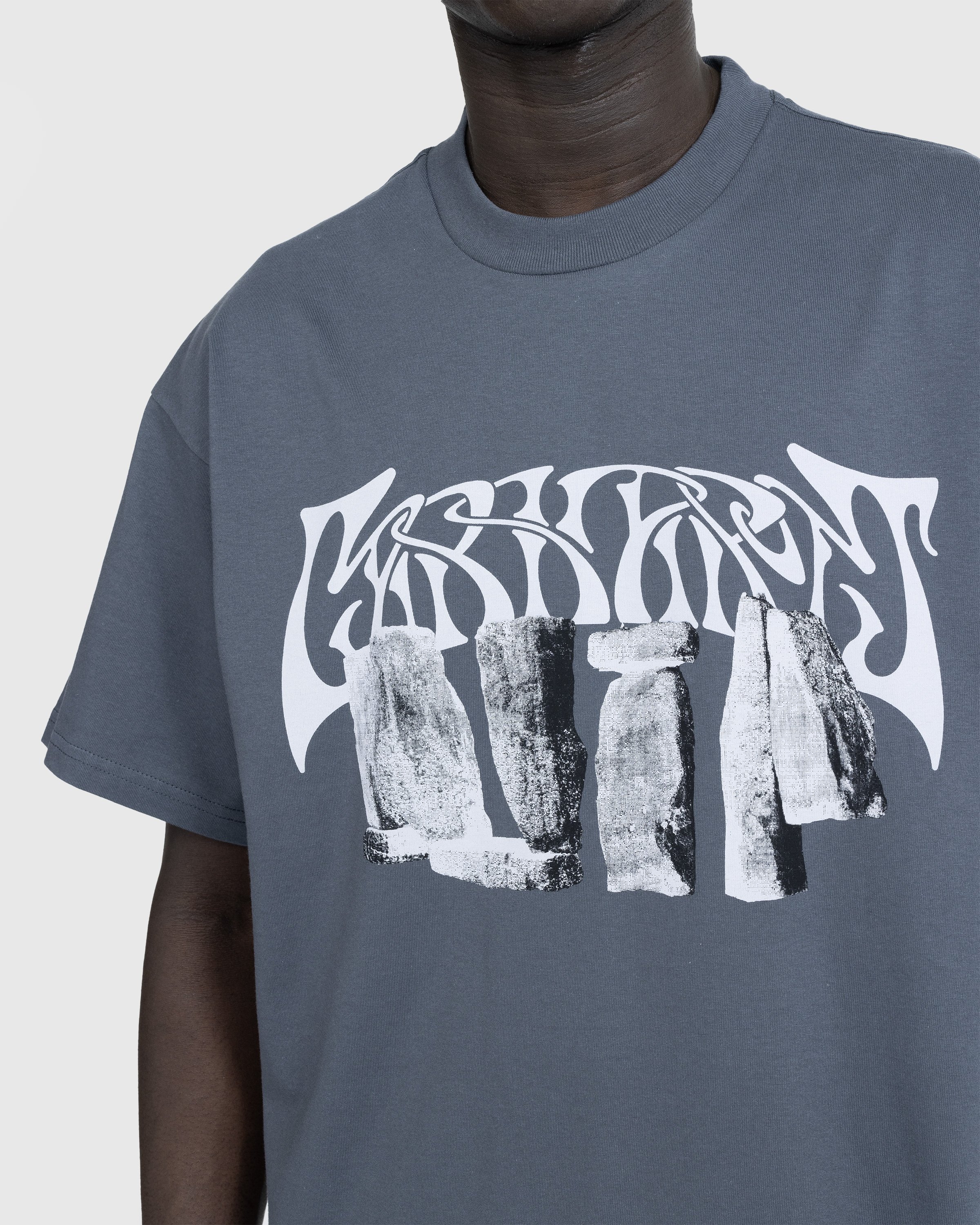 Carhartt WIP - Pagan T-Shirt Zeus/Gray - Clothing - Grey - Image 5