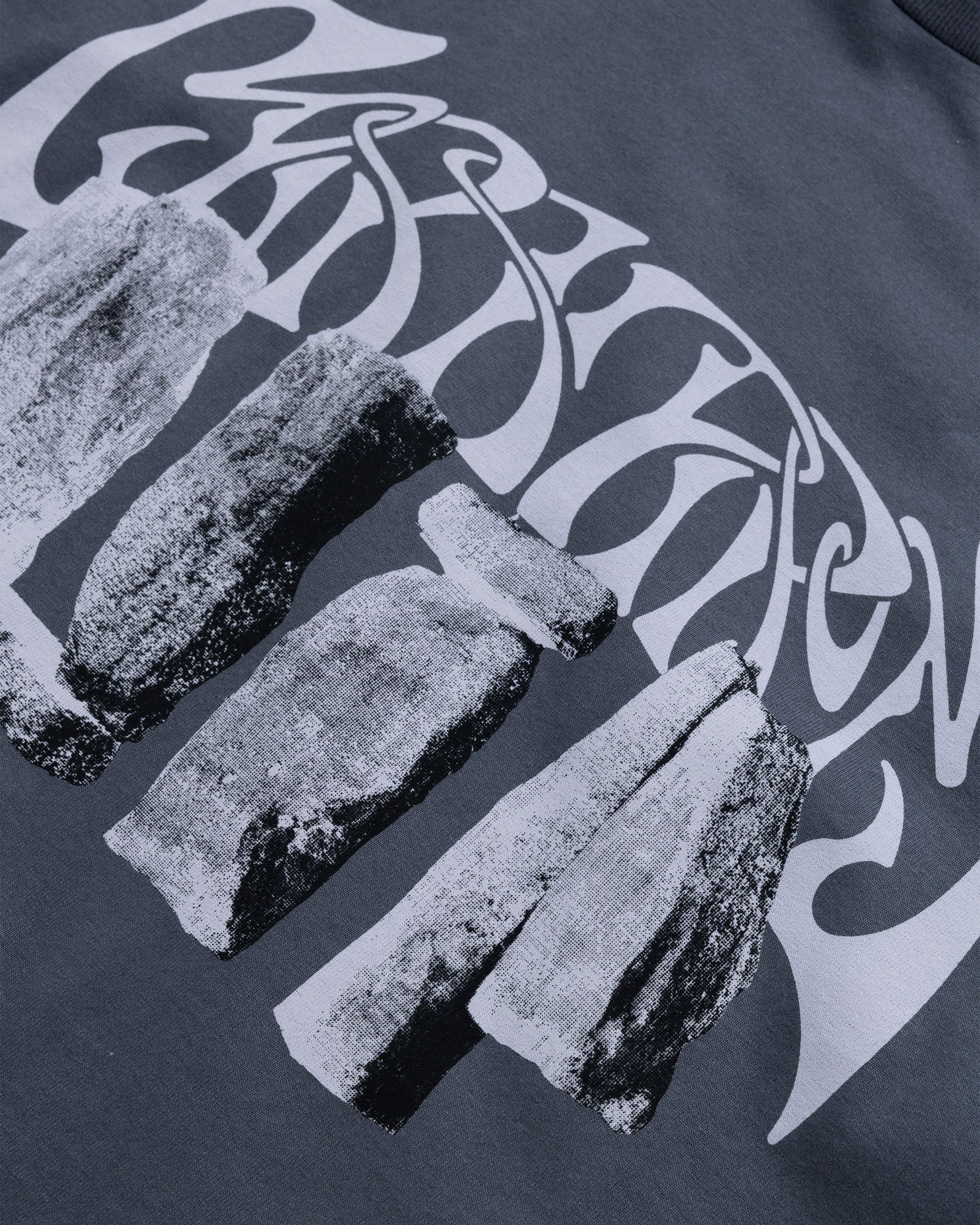 Carhartt WIP - Pagan T-Shirt Zeus/Gray - Clothing - Grey - Image 6
