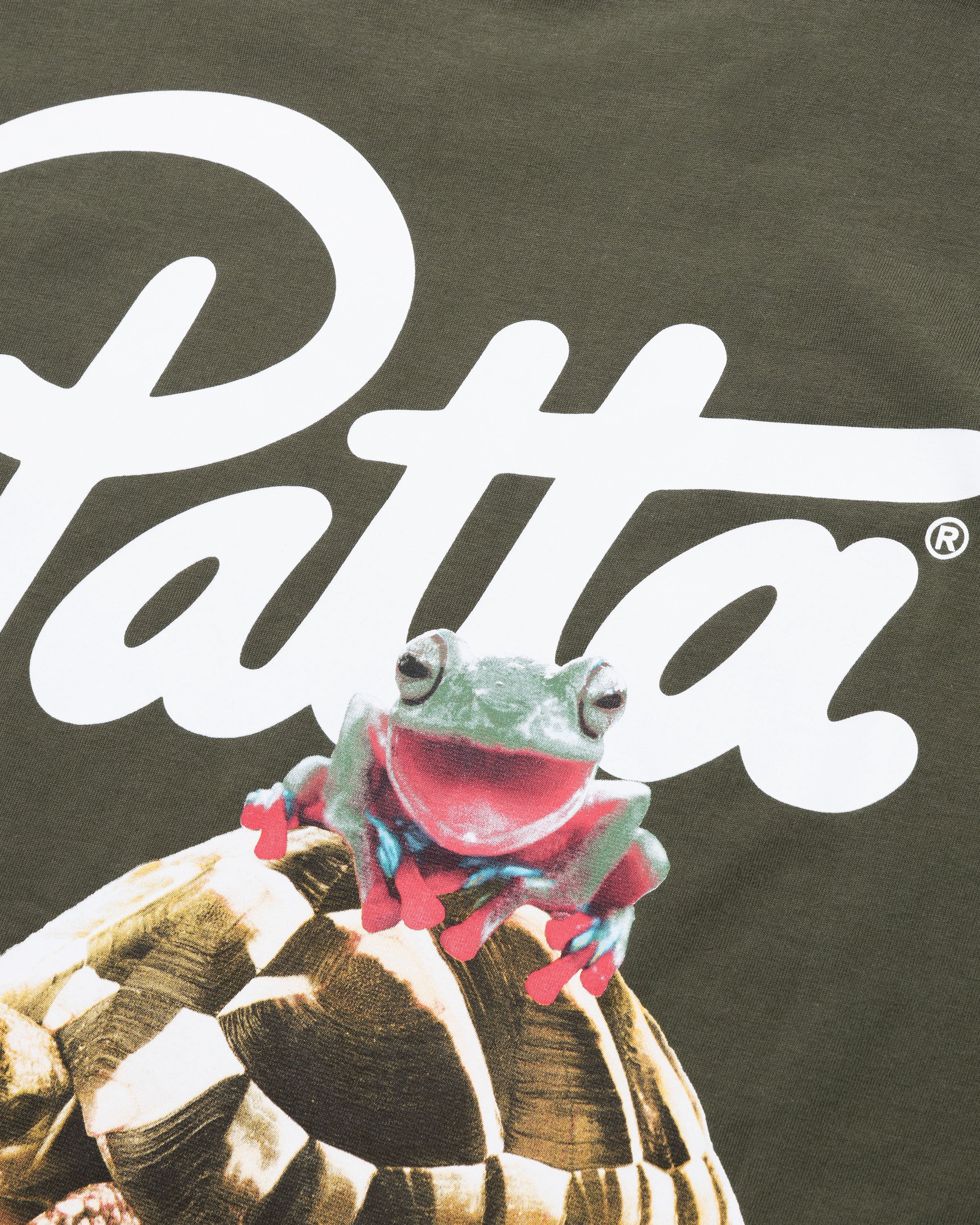 Patta - Animal T-Shirt Beetle Green - Clothing - Green - Image 6