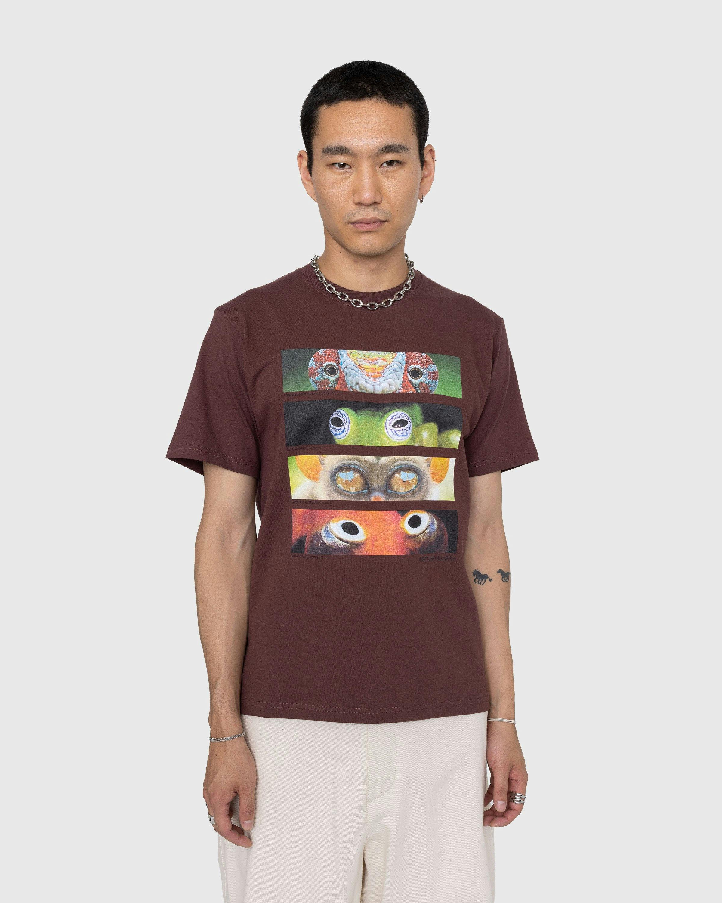 Gentle Fullness - Recycled Cotton Animal Eyes Tee Multi - Clothing - Brown - Image 2