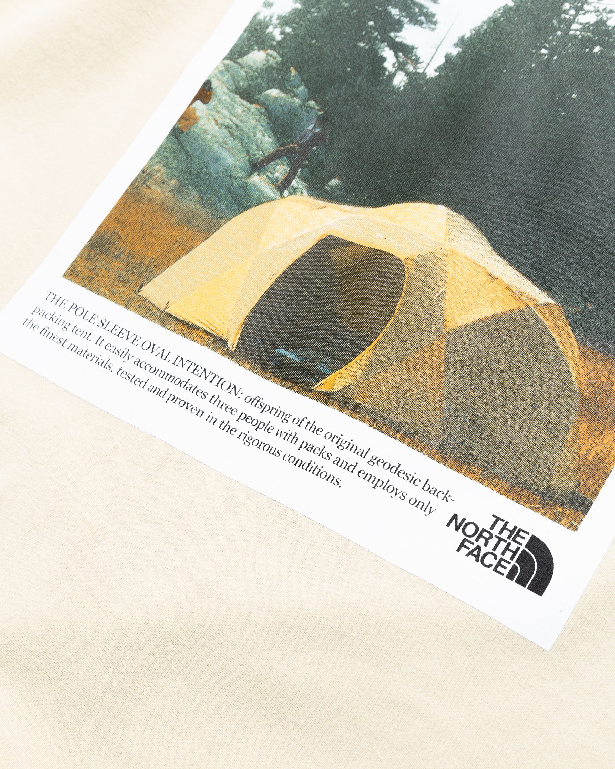 The North Face - Berk Ringer T-Shirt Gravel - Clothing - Grey - Image 4