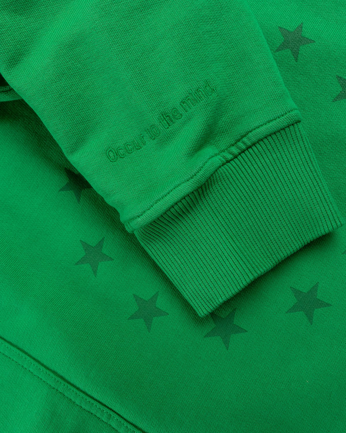 Souvenir - Eunify G-Dye Hoodie Fern - Clothing - Green - Image 5