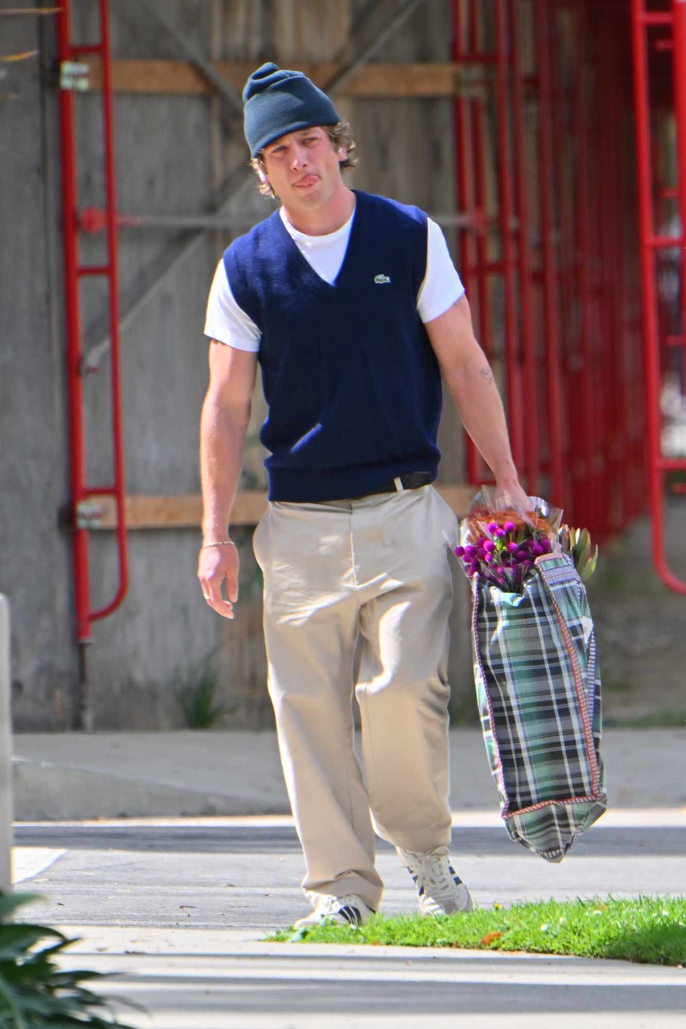 Jeremy Allen White at the farmer's market carrying a tote bag full of flowers