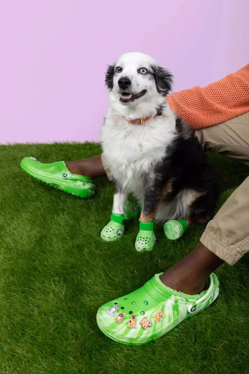 Crocs Pet Dog Classic Clog