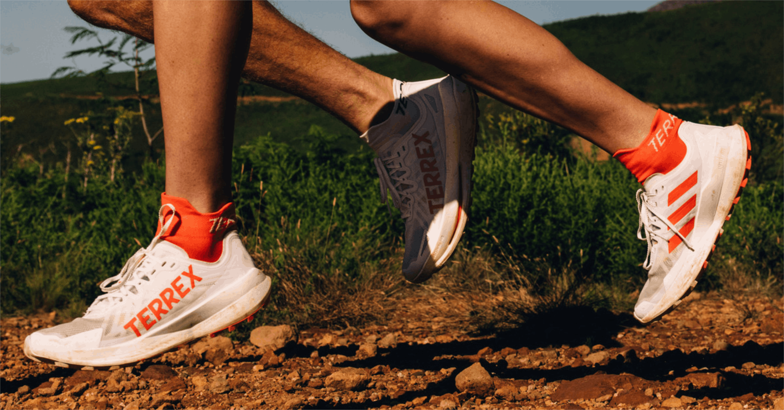 adidas Terrex Agravic trail running shoe
