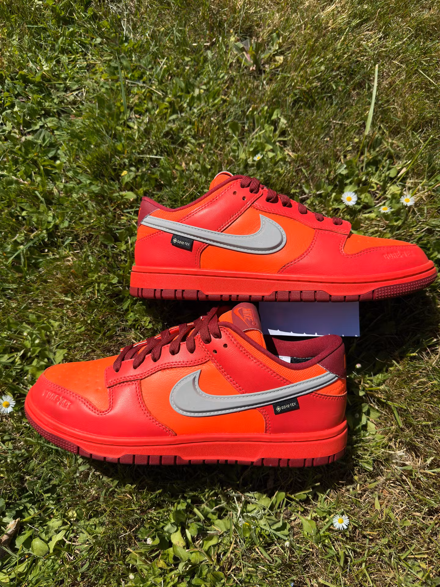 nike dunk low gore-tex 2025