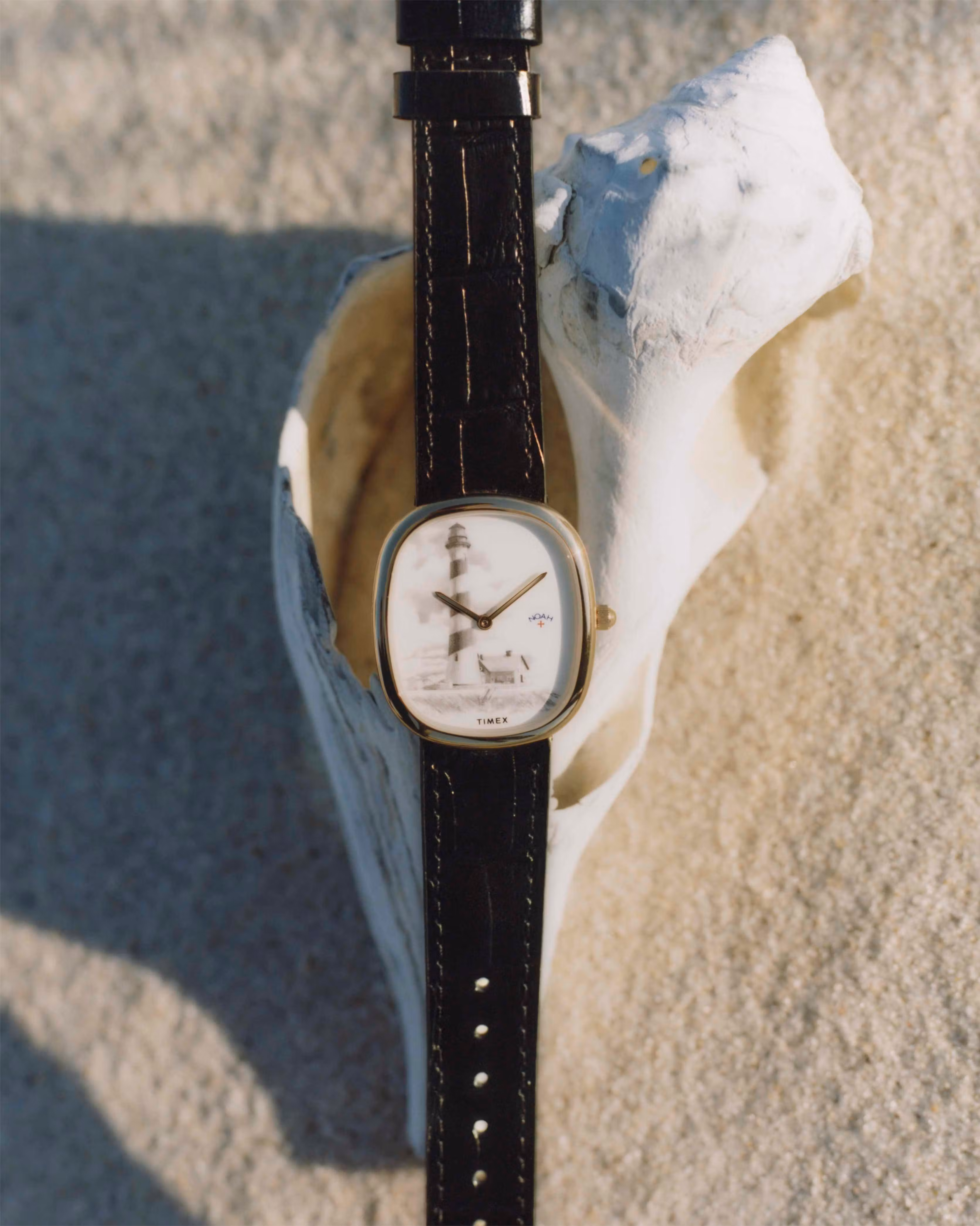 noah timex watch 2025