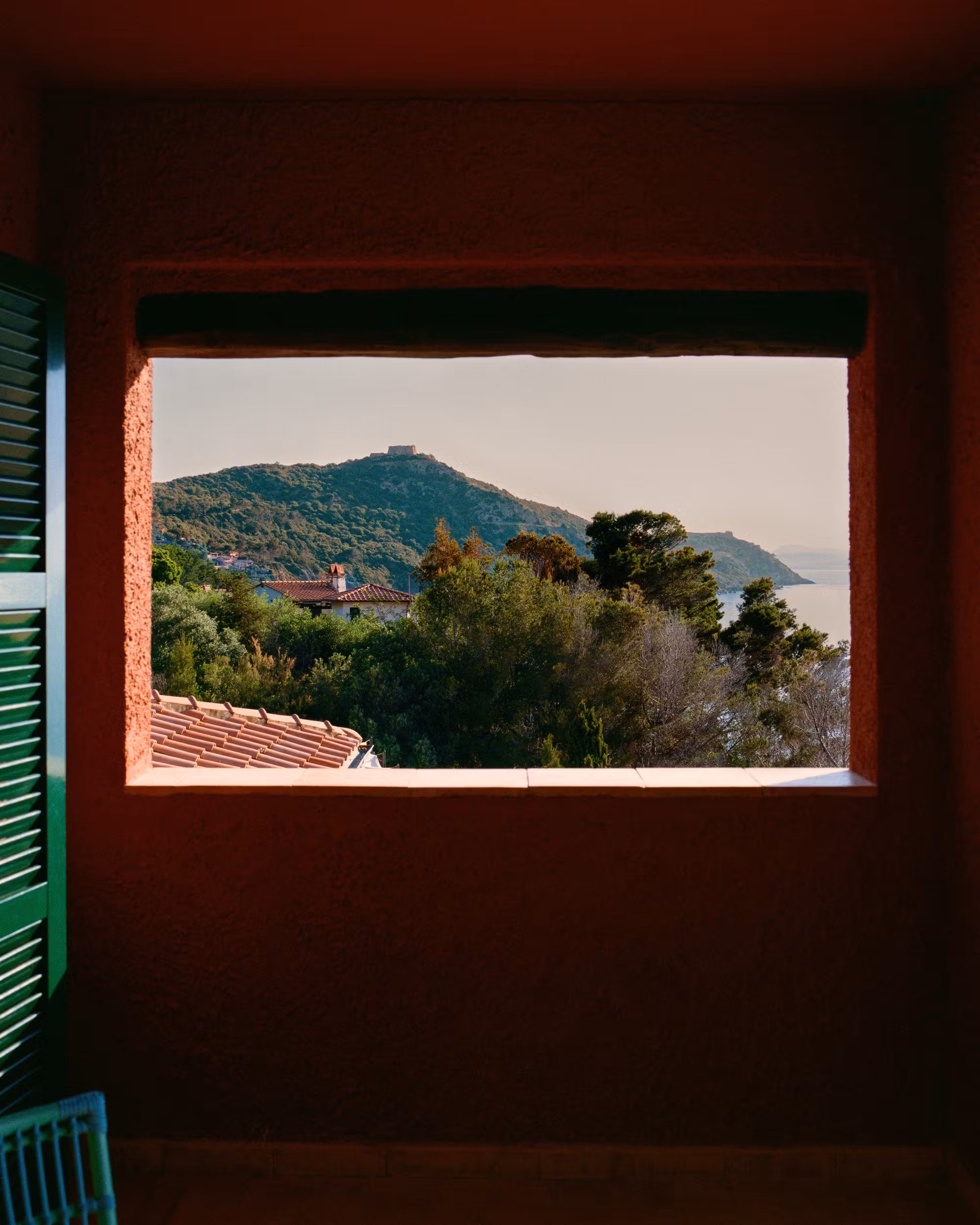 pellicano