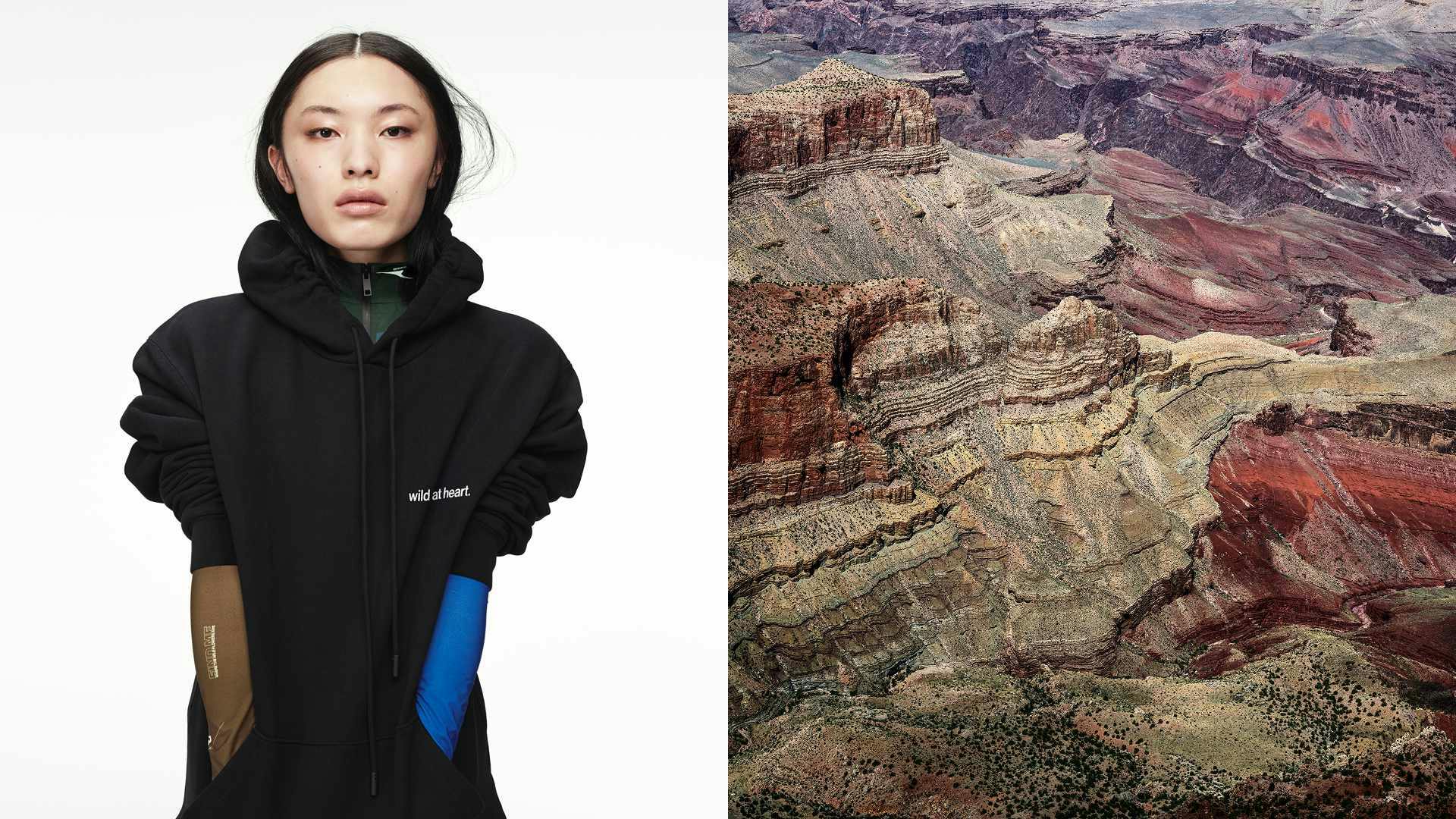 canada goose haider ackermann ss25 snow goose collection