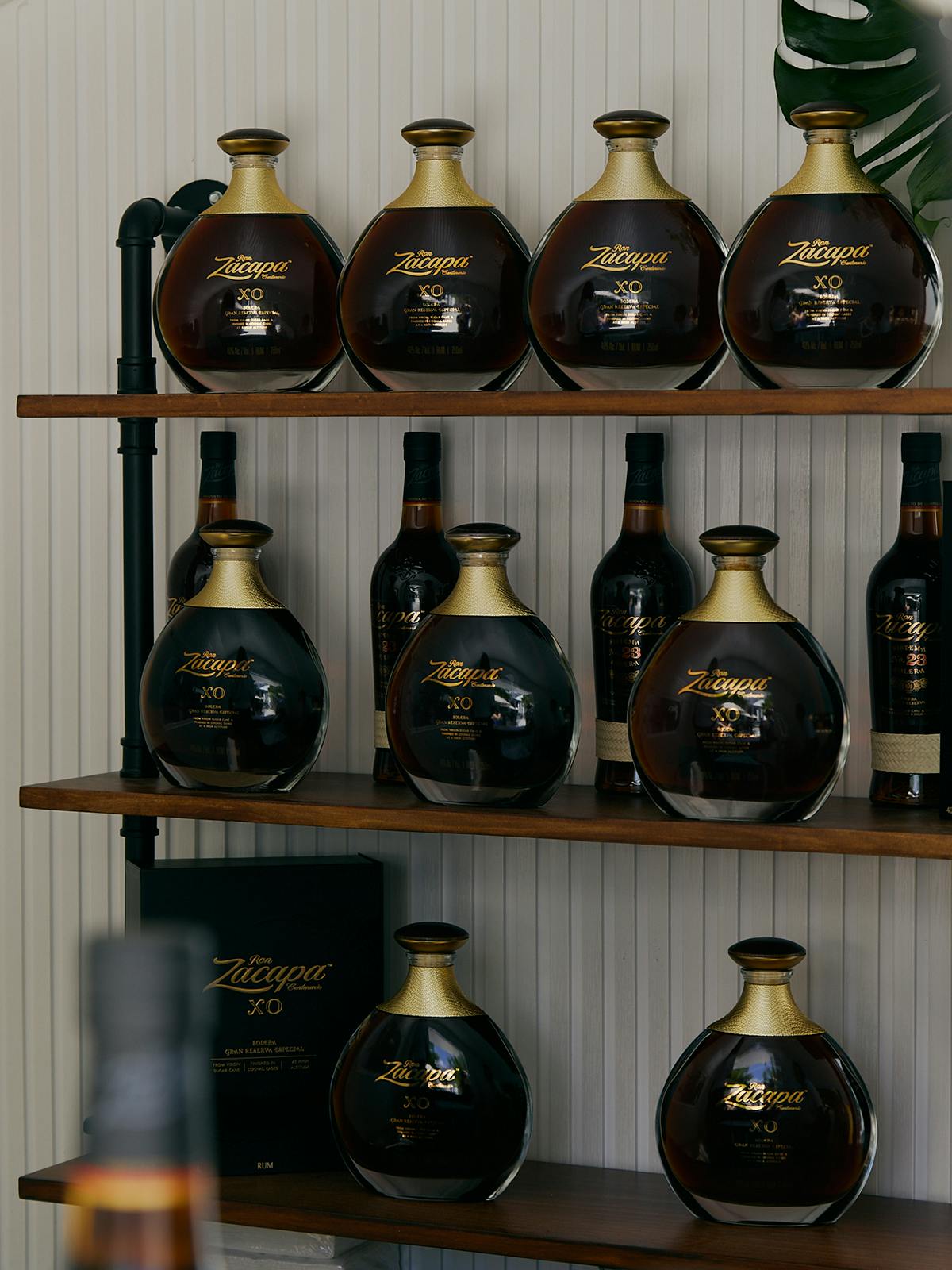 Zacapa & Agua by Agua Bendita Event