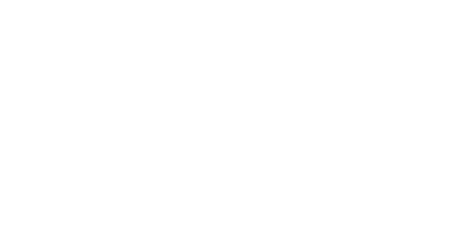 hs20