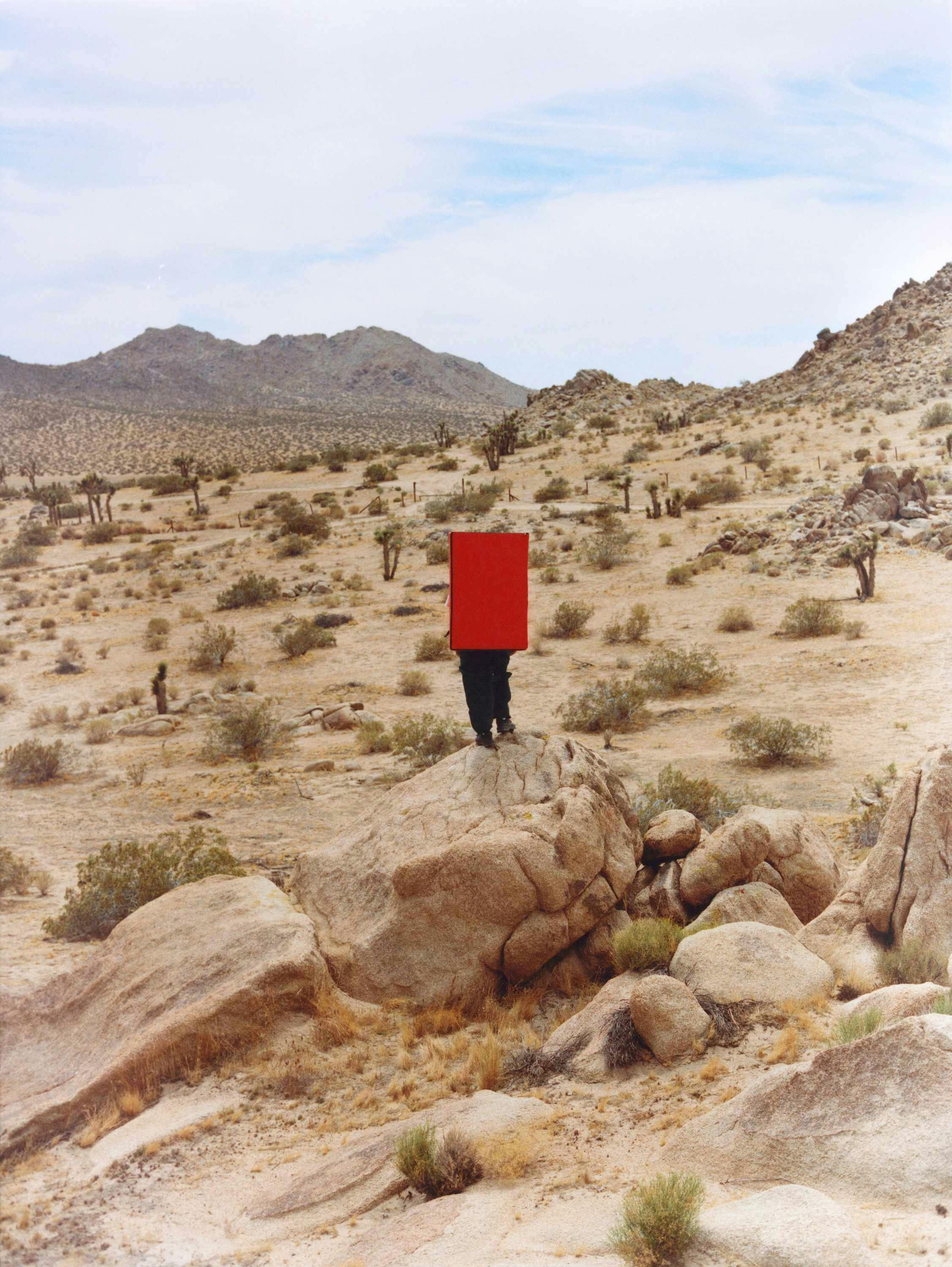 the north face red box collection