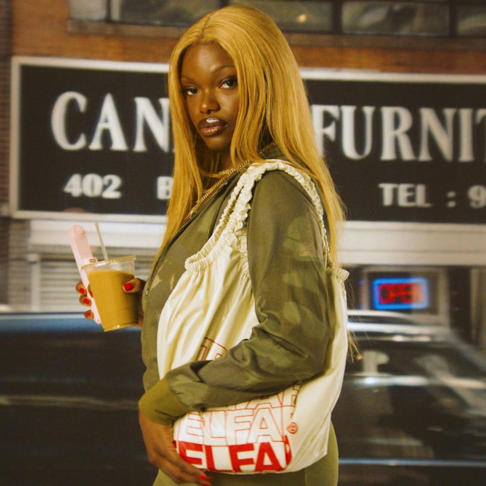 telfar New York Plastic bag