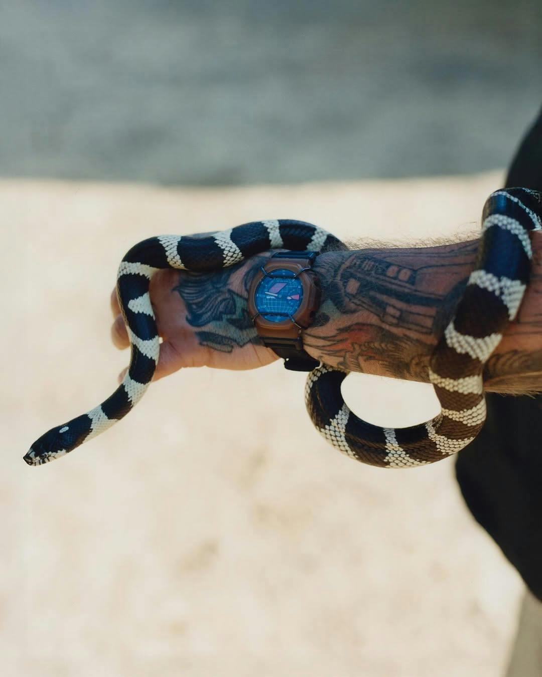 action bronson g-shock