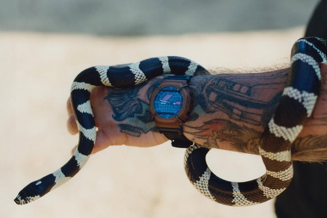 action bronson g-shock