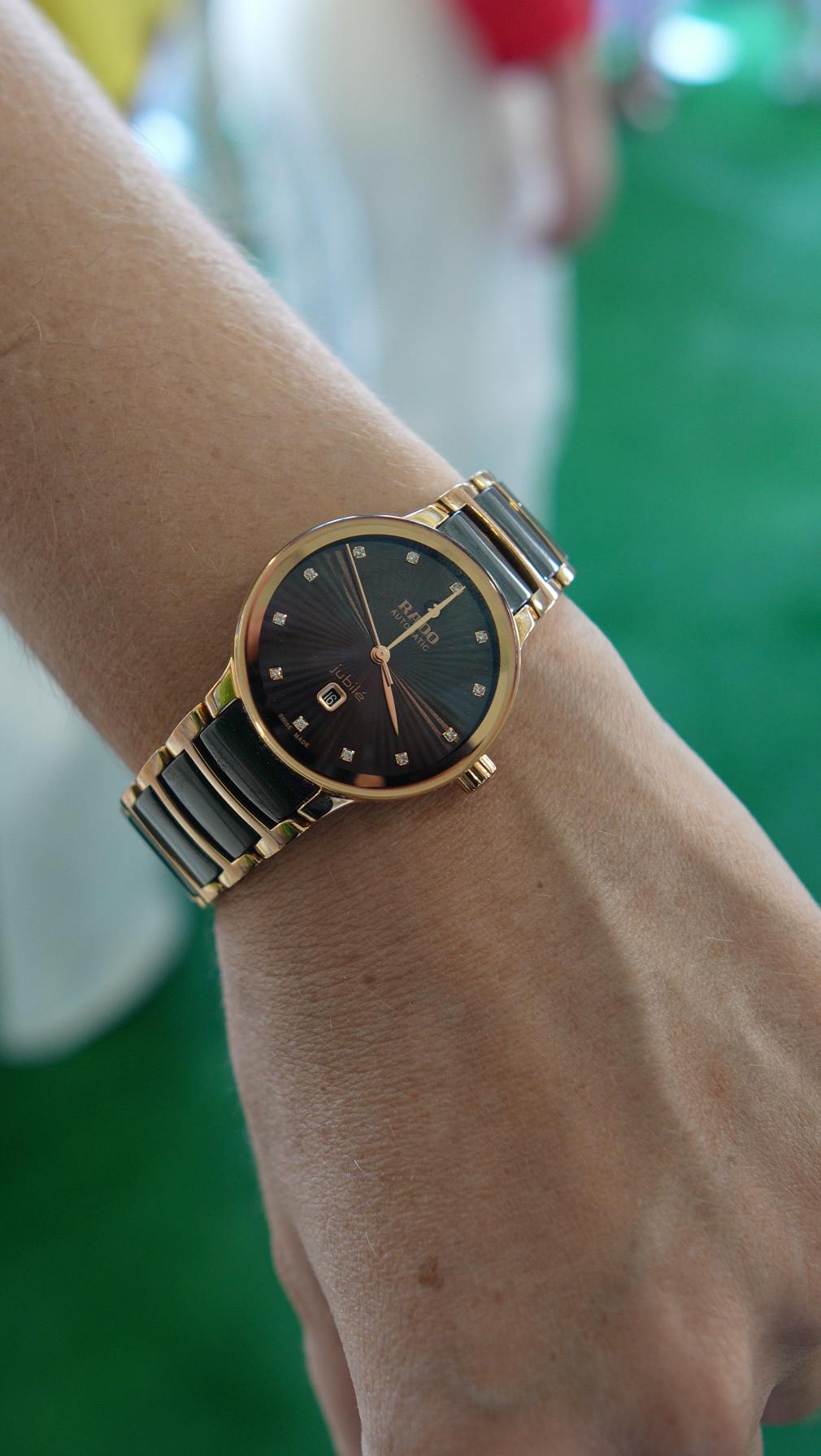 Rado Captain Cook Watches