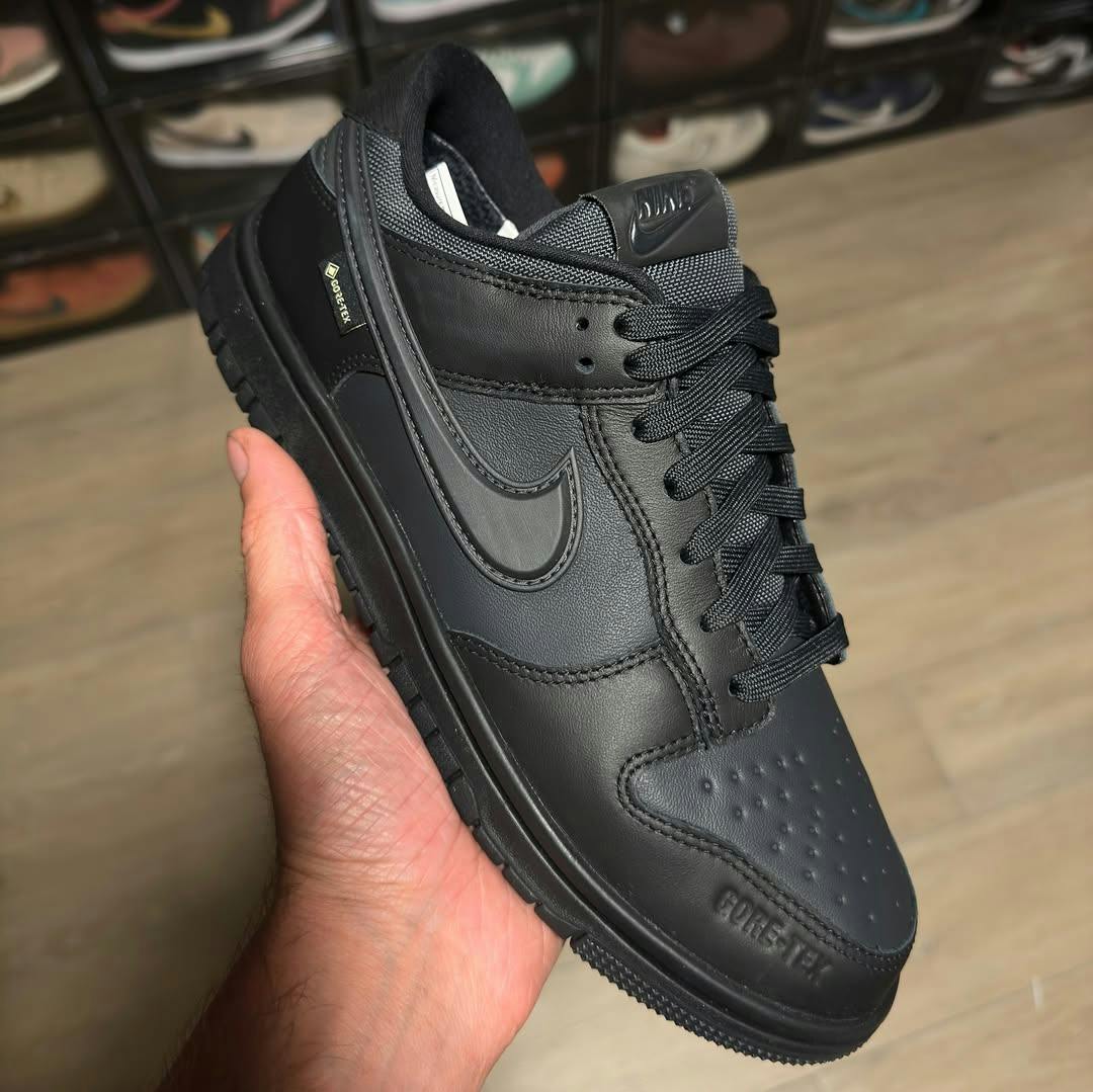 Nike gore-tex Dunk sneaker