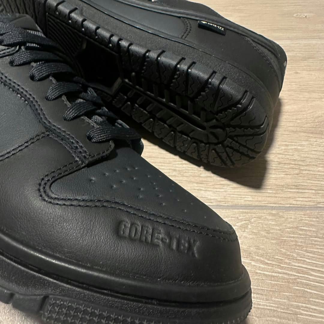 Nike gore-tex Dunk sneaker