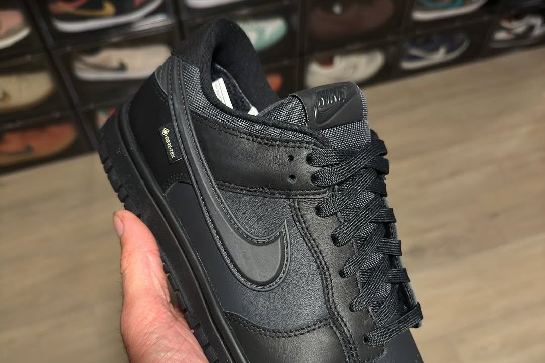 Nike gore-tex Dunk sneaker