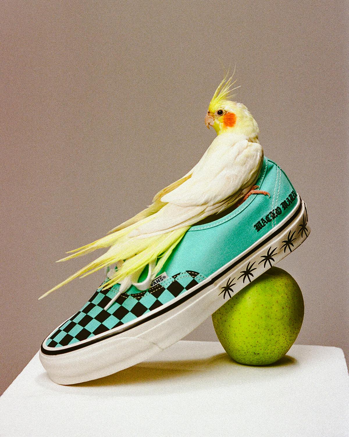 VANs Wacko Maria Sneakers