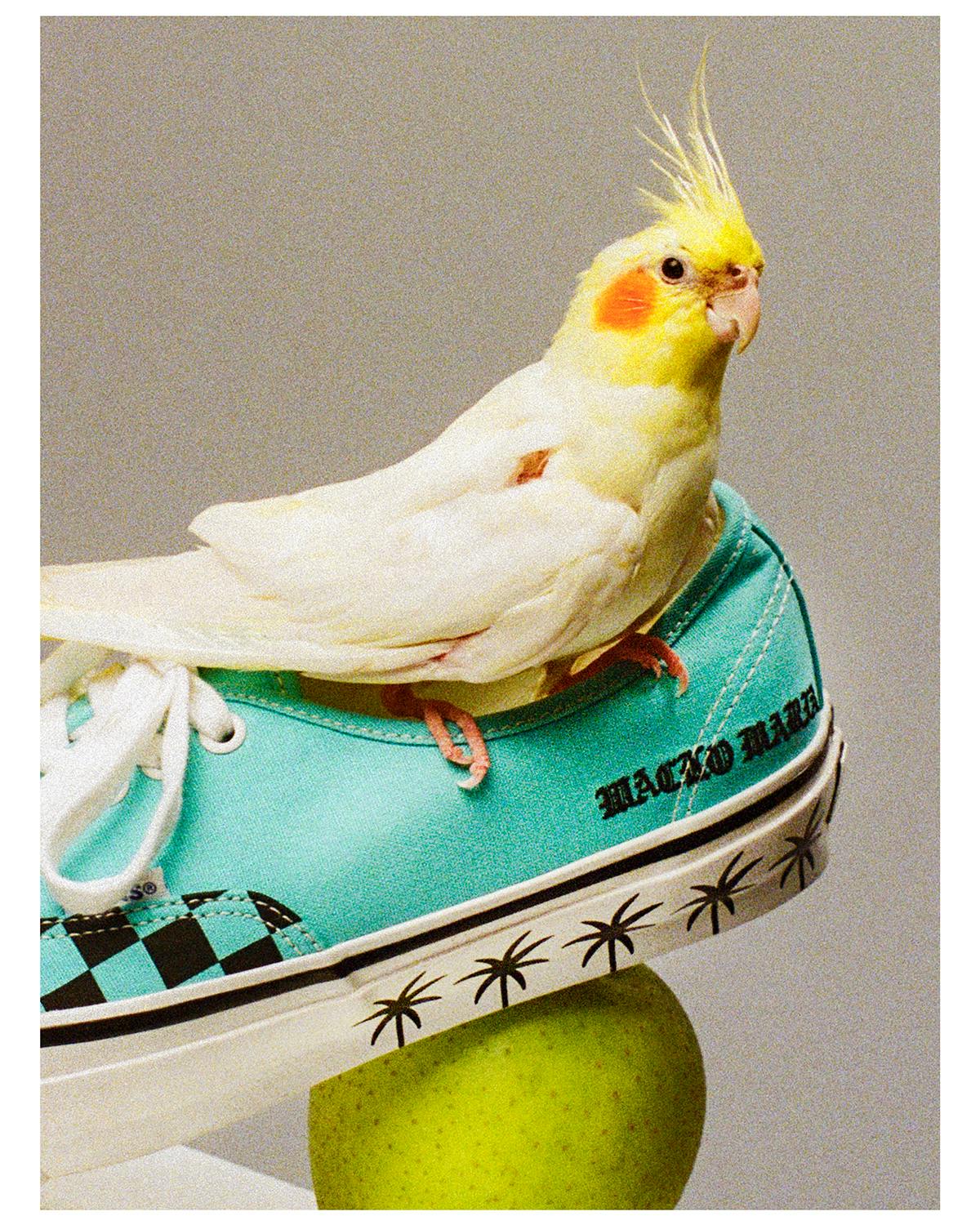 VANs Wacko Maria Sneakers
