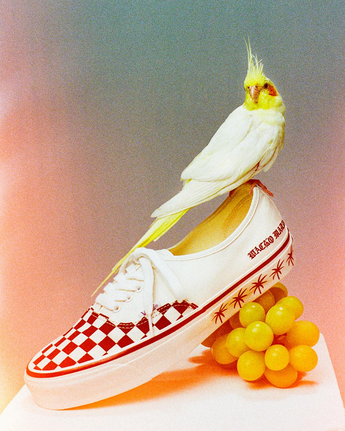 VANs Wacko Maria Sneakers