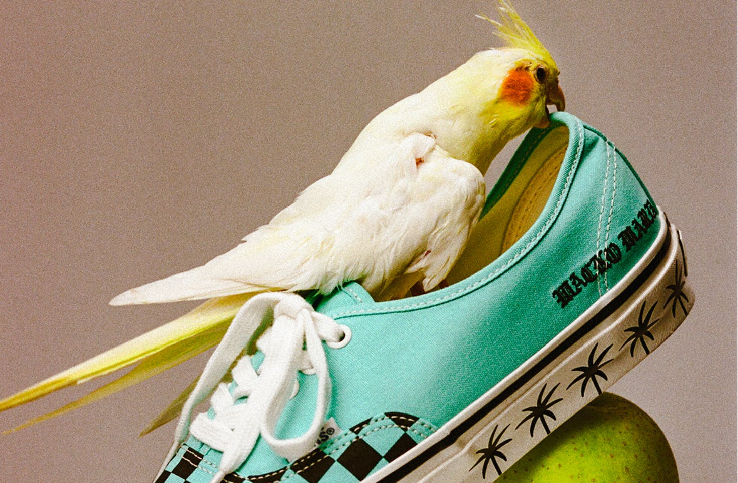 VANs Wacko Maria Sneakers