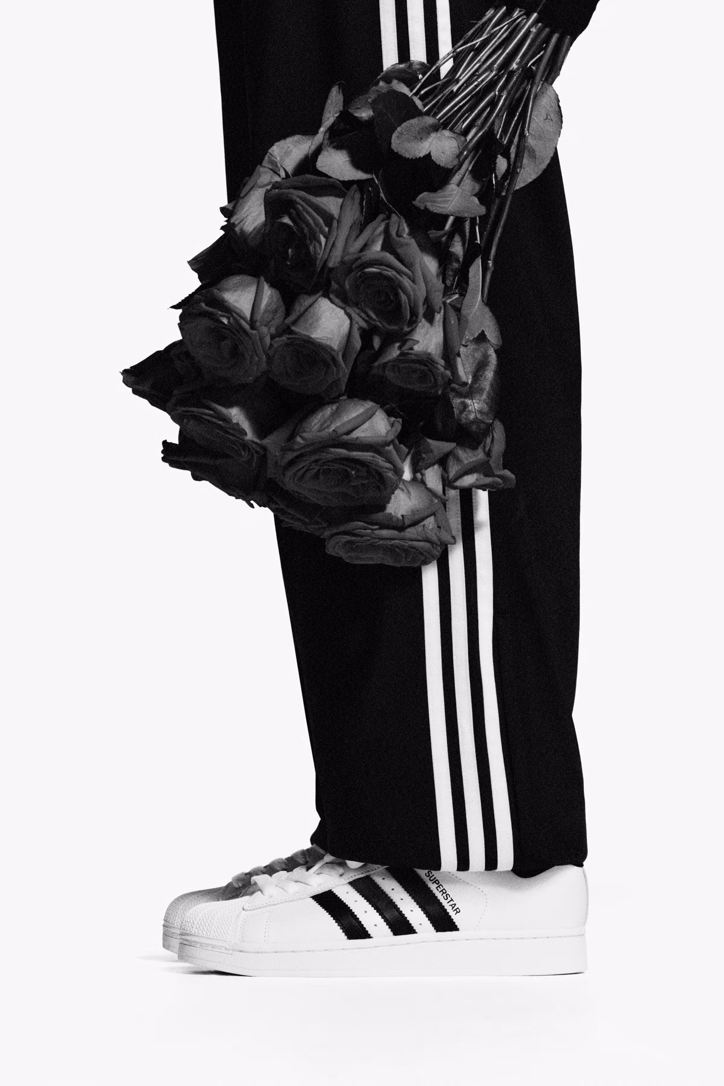 talents in adidas