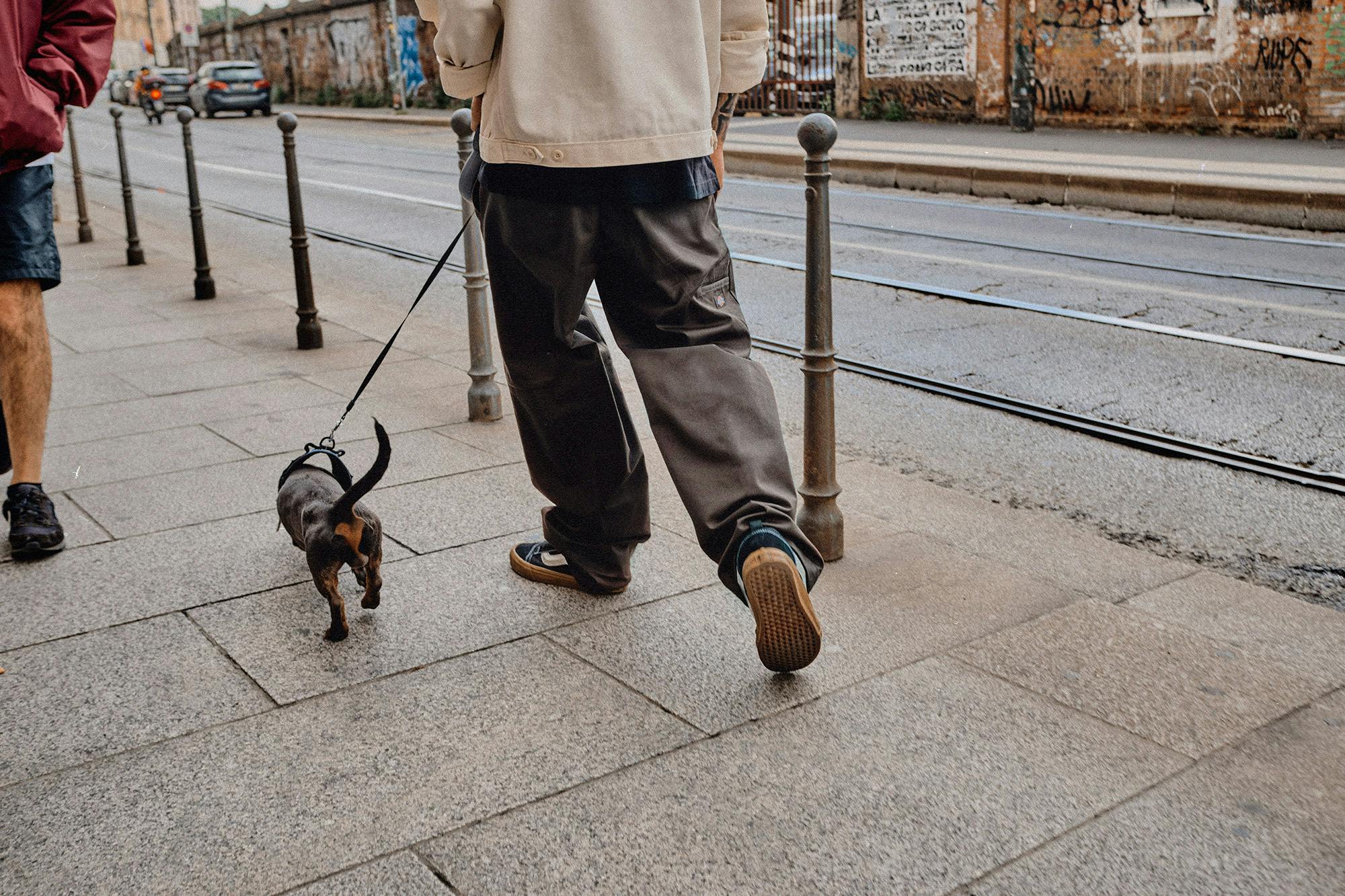 Milan’s Wearing Dickies 247 Pant 24/7