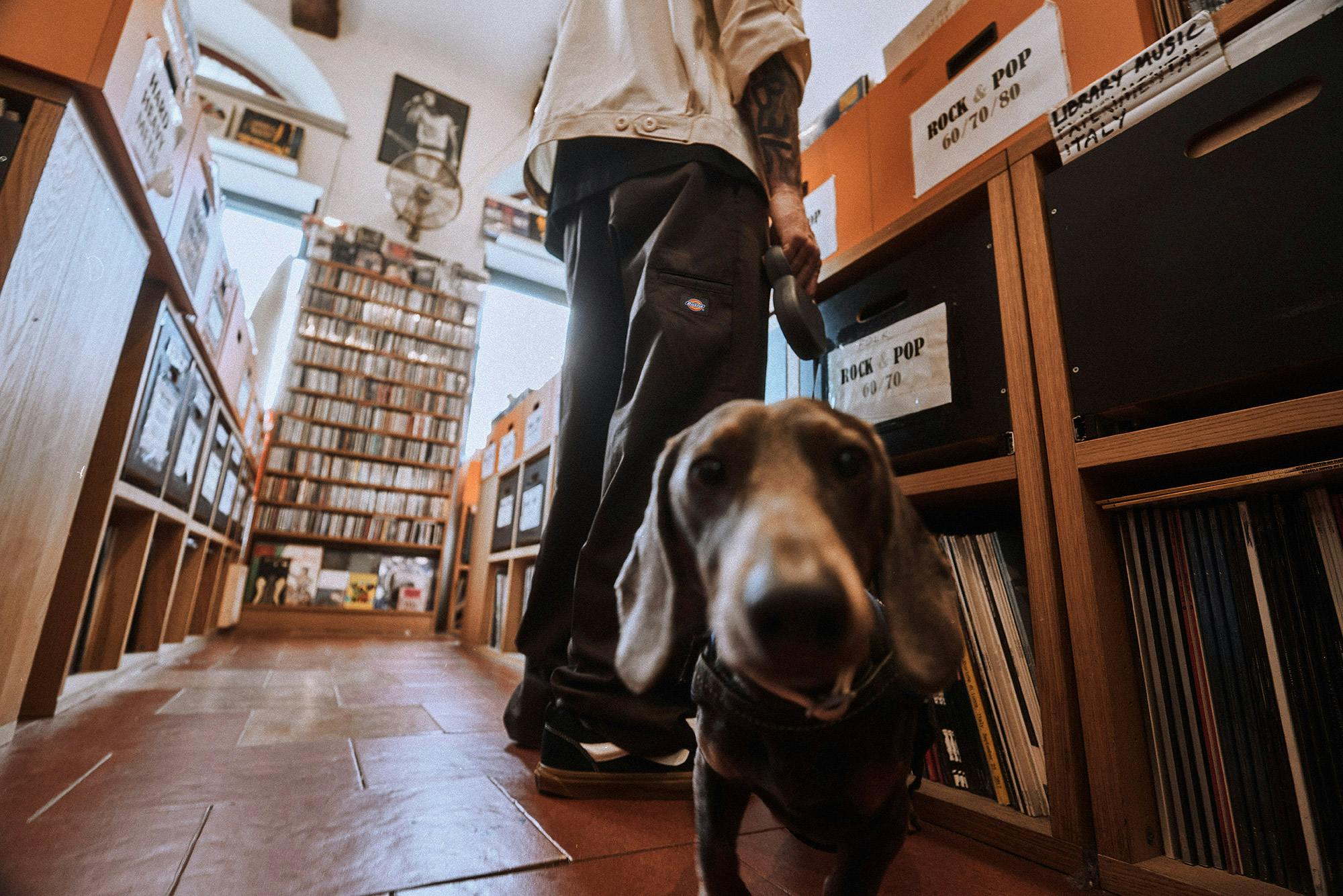 Milan’s Wearing Dickies 247 Pant 24/7