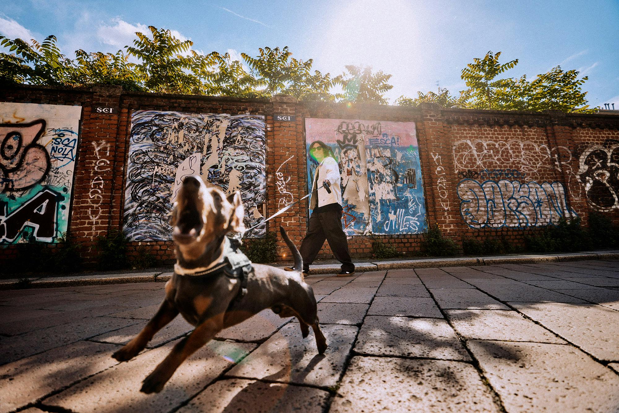 Milan’s Wearing Dickies 247 Pant 24/7