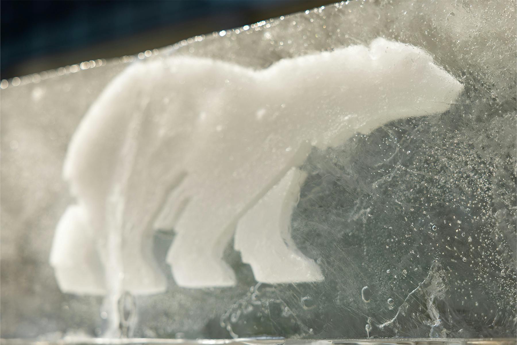 Sorel NYFW Activation