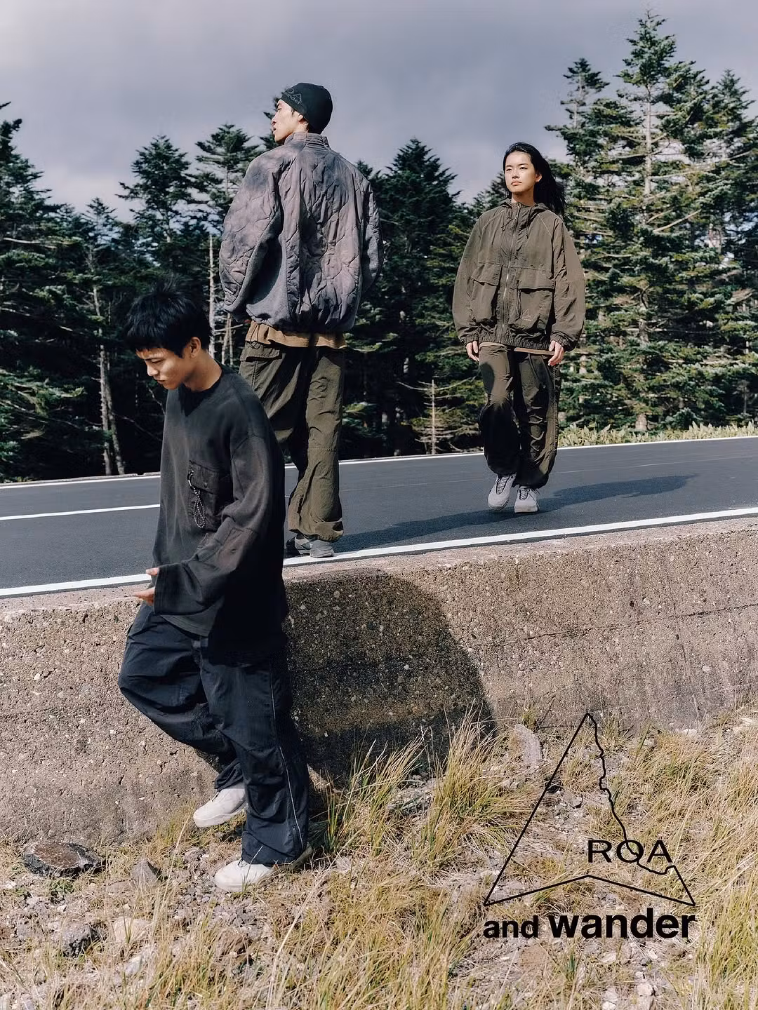and wander roa