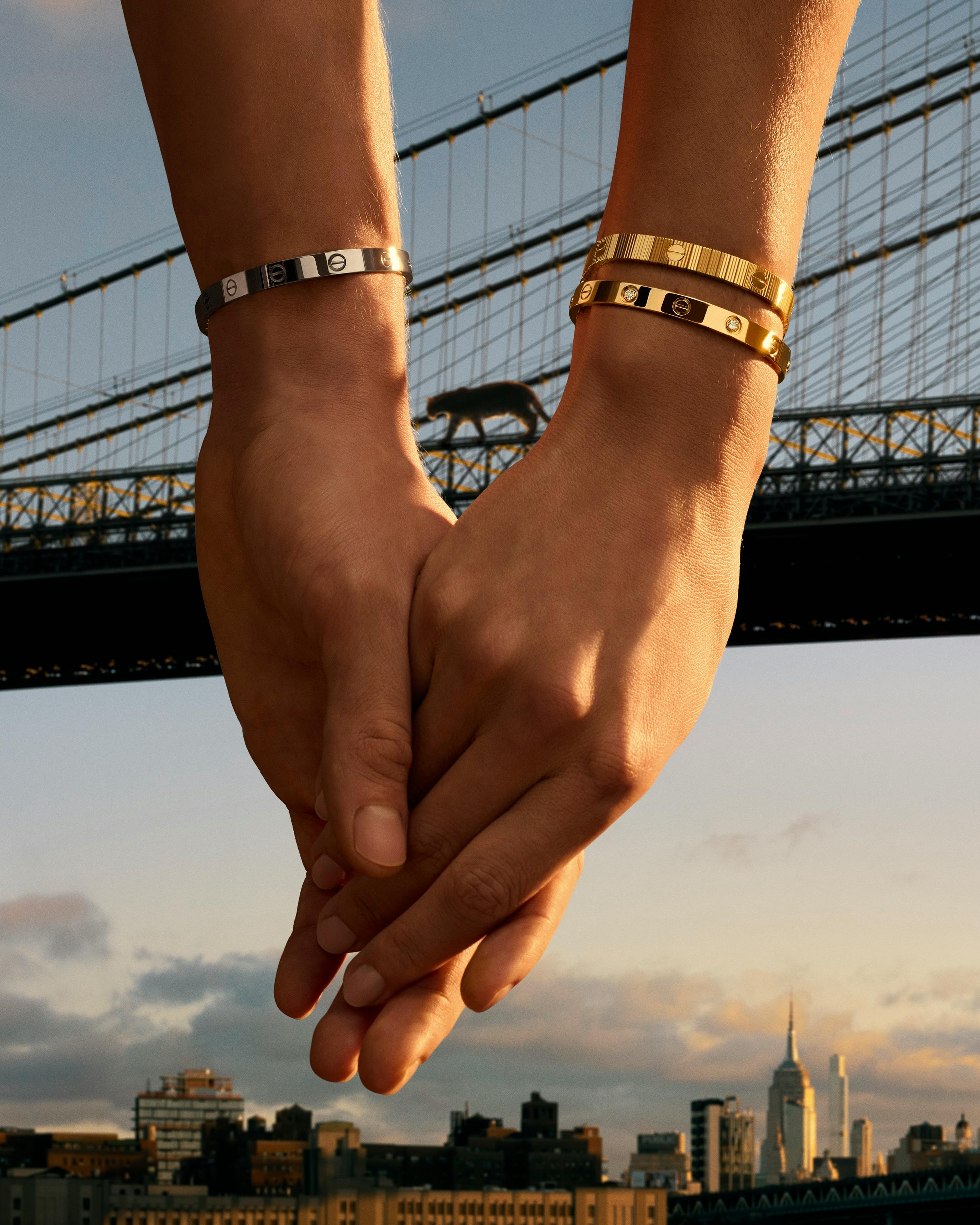 Cartier LOVE Unlimited collection