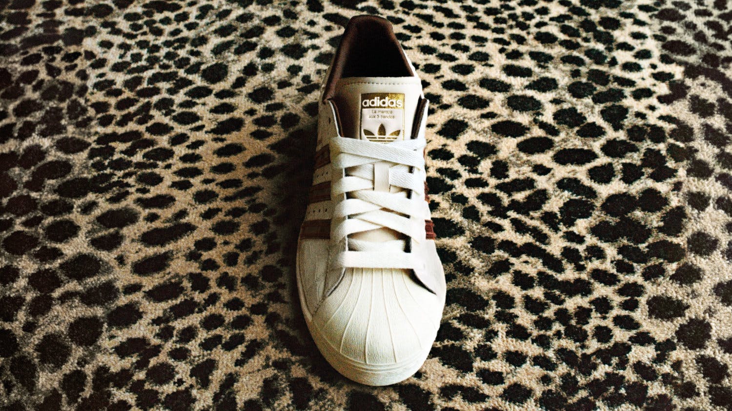 wales bonner adidas fall winter 2025