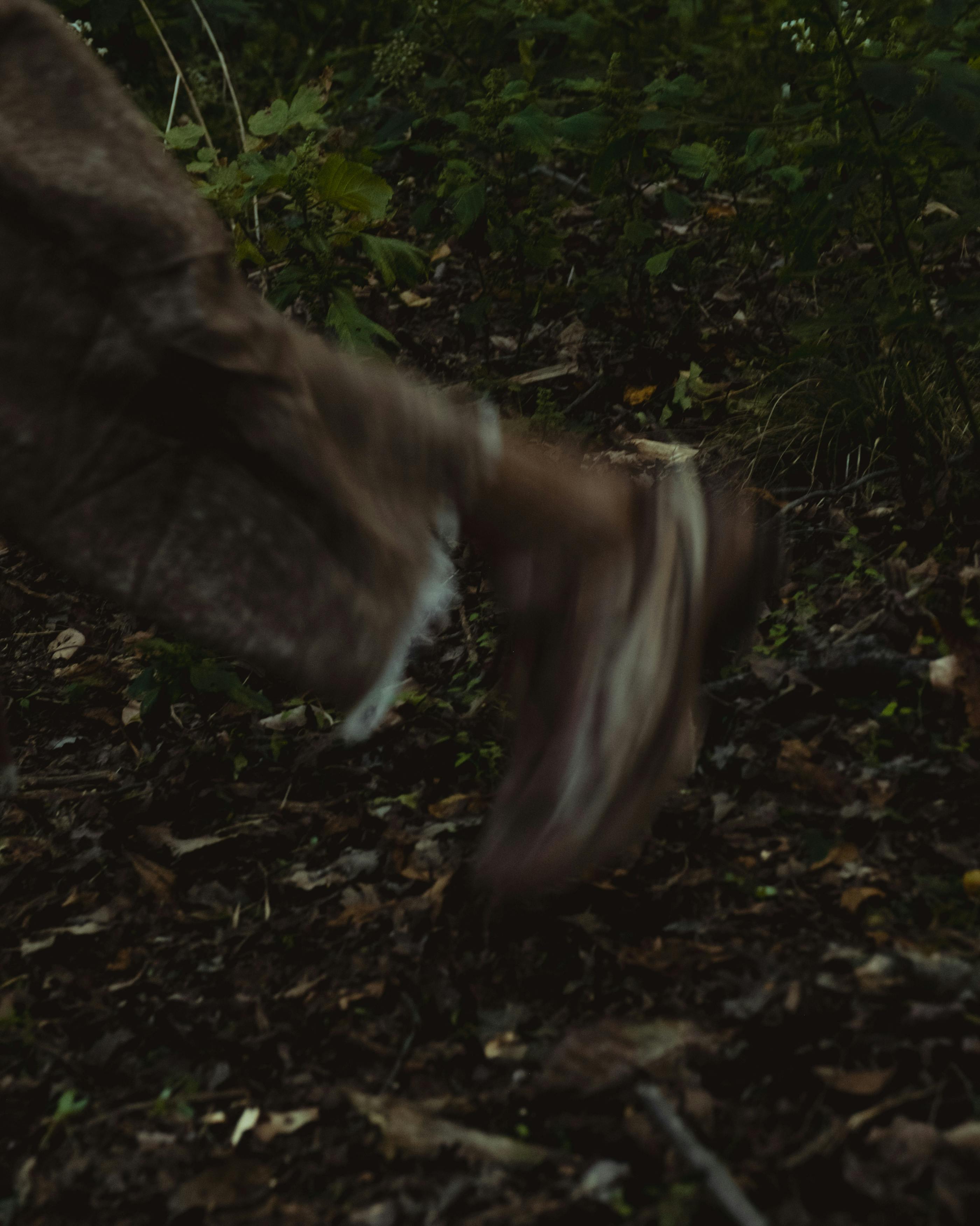 AIREI ASICS GEL KINETIC FLUENT