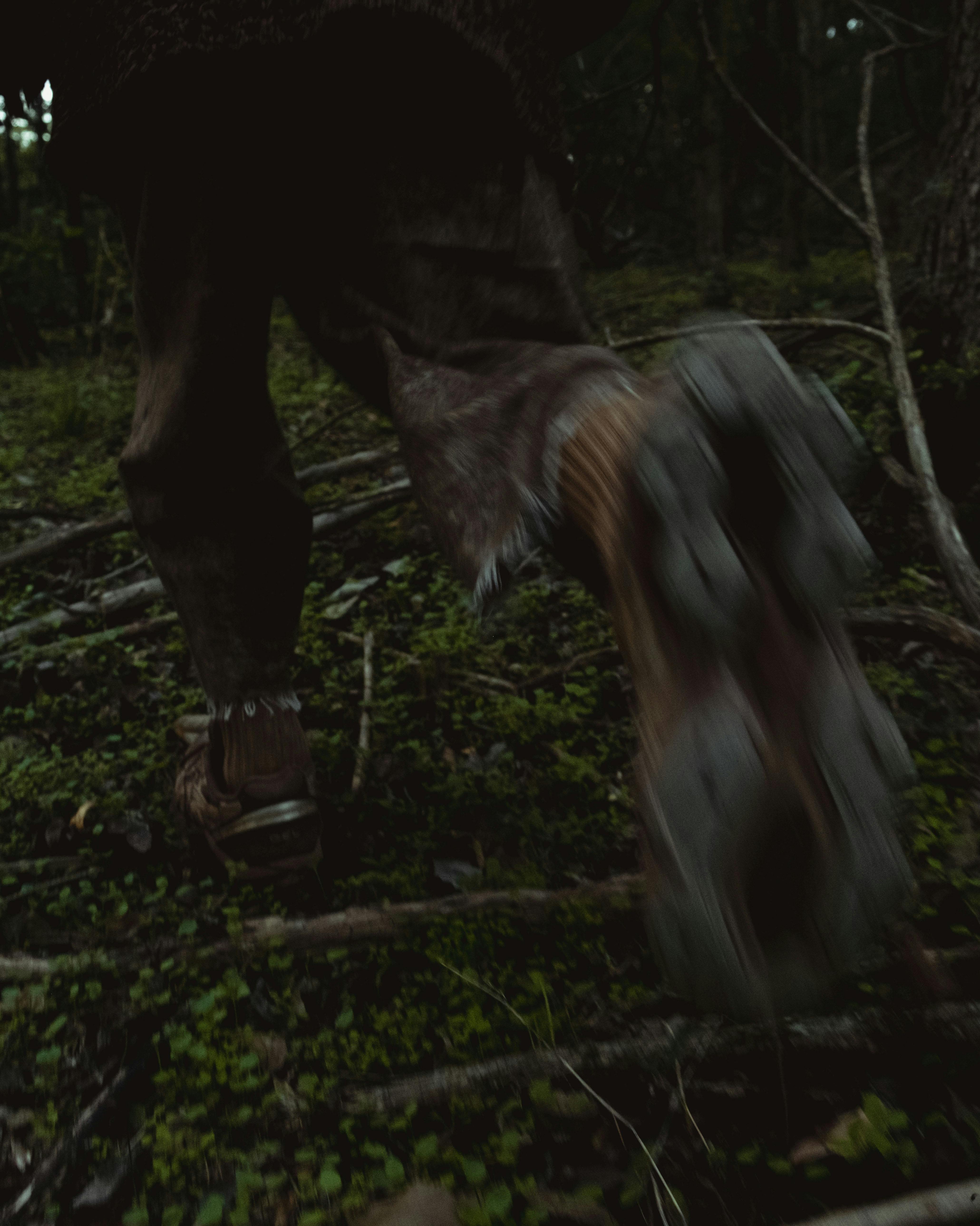 AIREI ASICS GEL KINETIC FLUENT