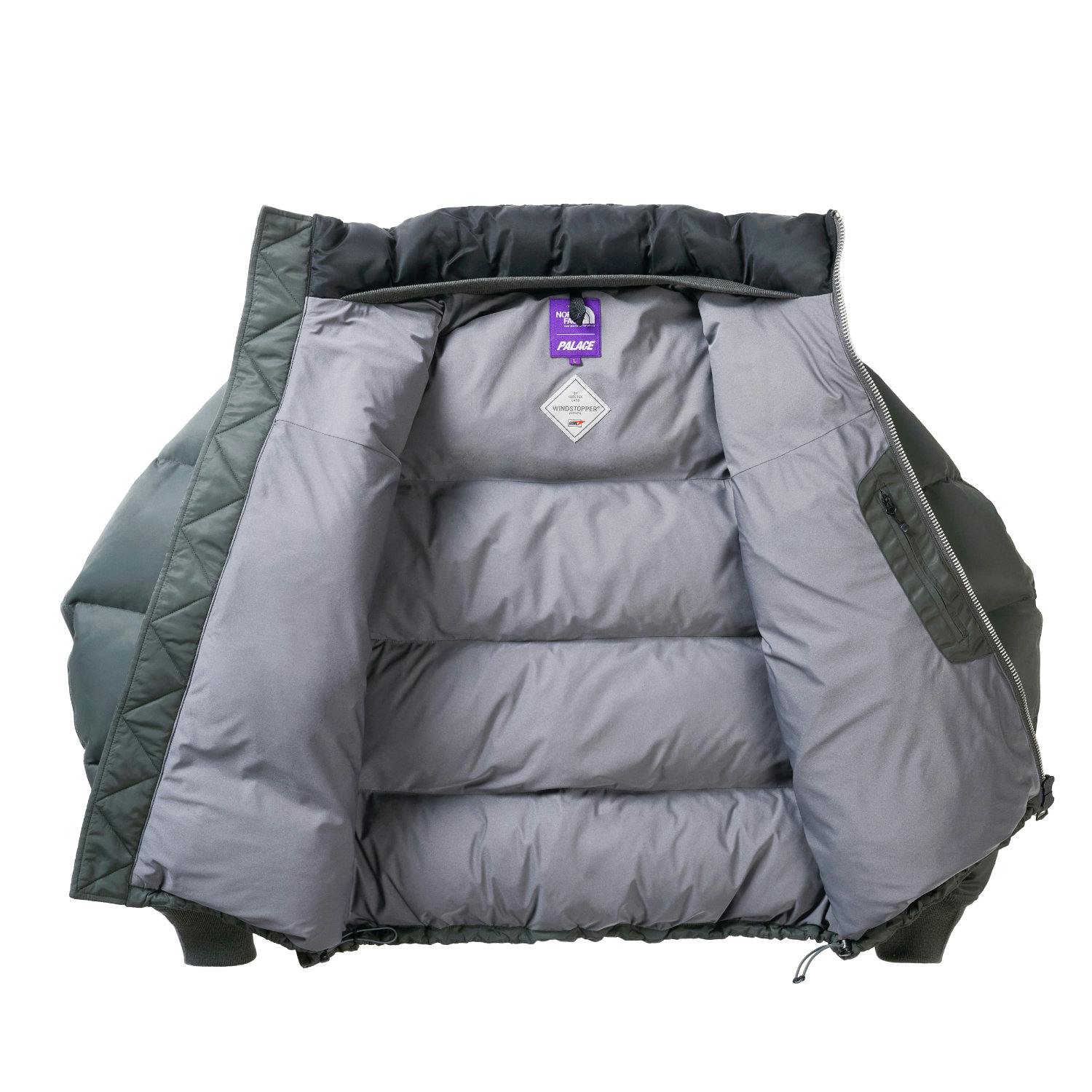 Palace x The North Face Purple Label 