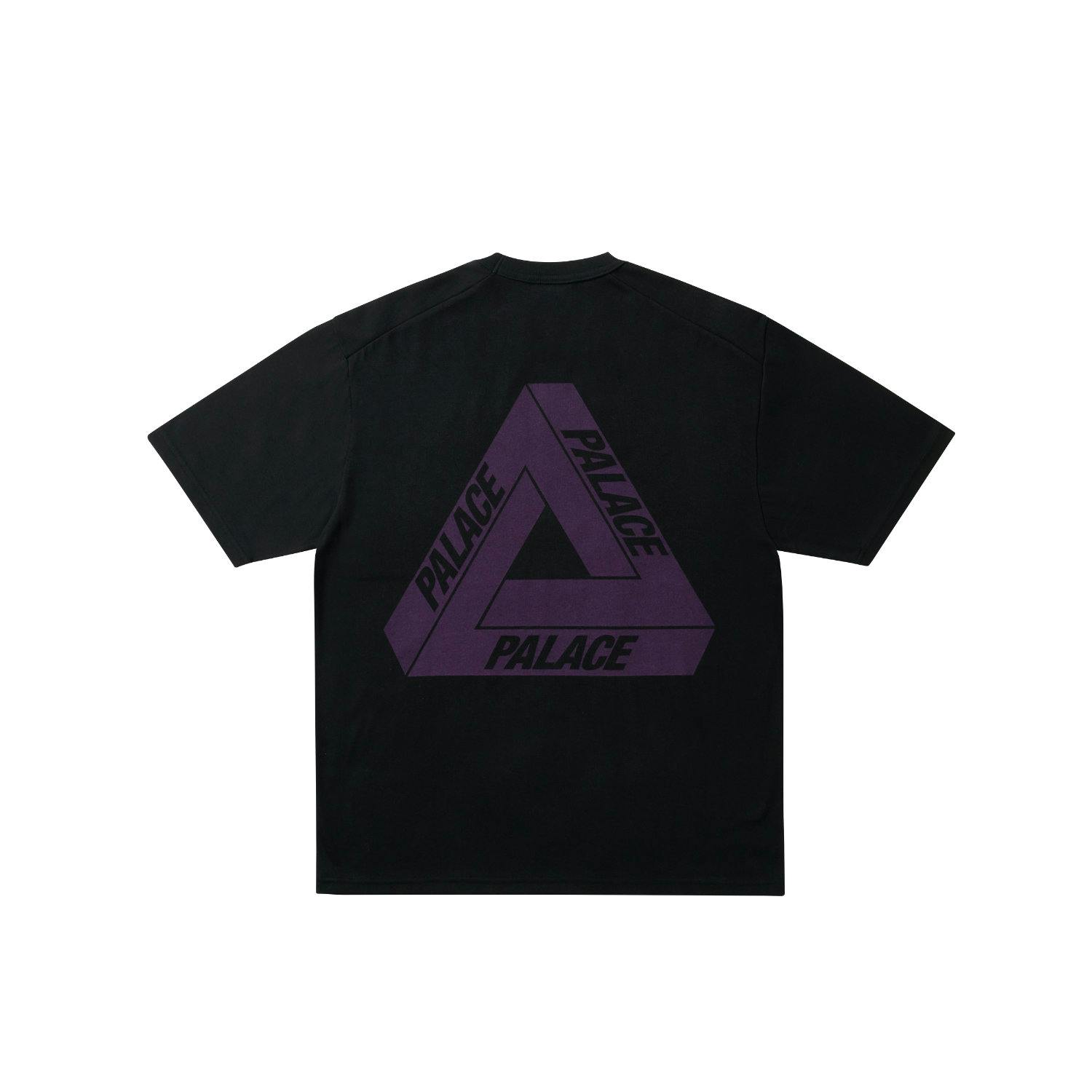 Palace x The North Face Purple Label 