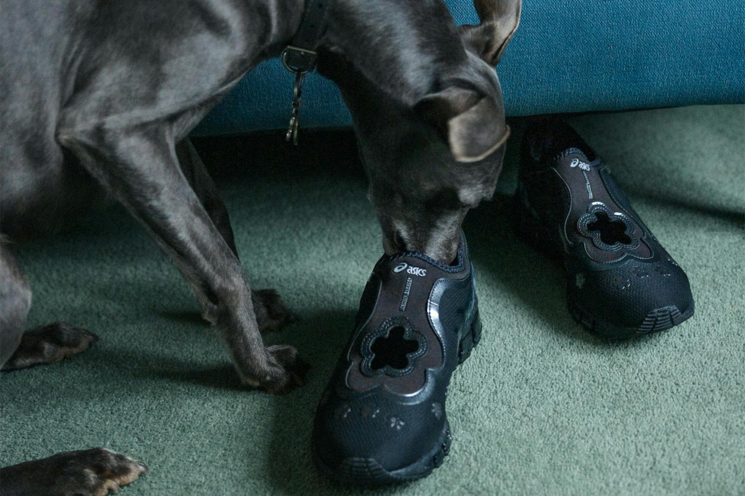 From Nike to Crocs, the Seven Best Sneakers to Cop Right Now