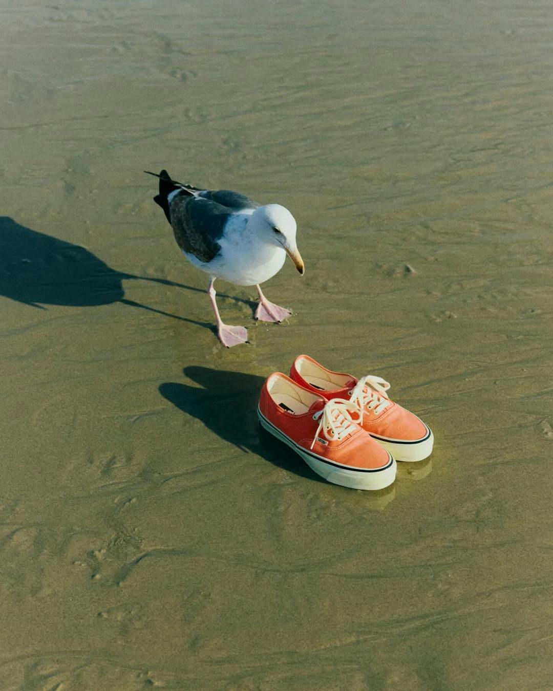 Vans' Sun-Bleached Authentic Sneaker Is Straight from the '80s