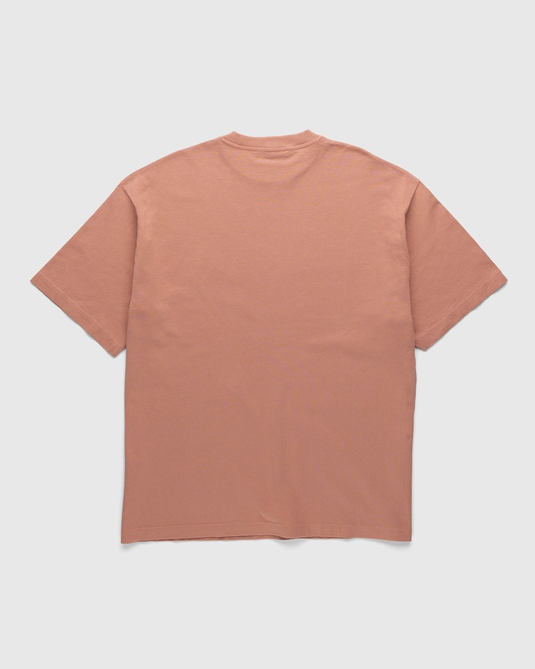 Acne Studios – Cotton Logo T-Shirt Old Pink - Tops - Pink - Image 2