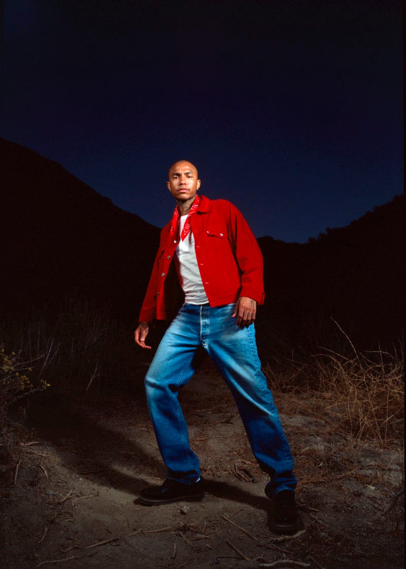 levis-verdy-collection-10