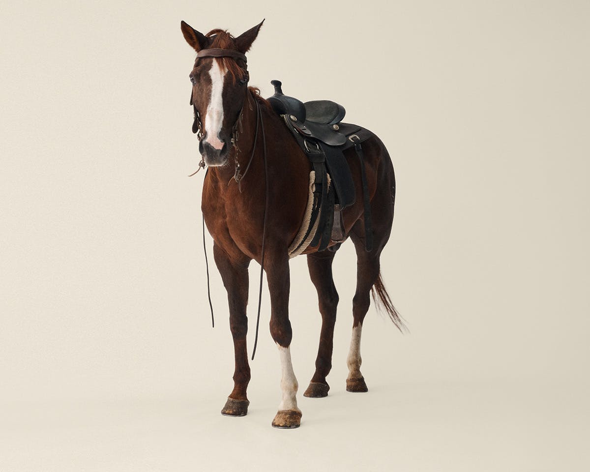 aldxwoolrich-aw20-campaign-05