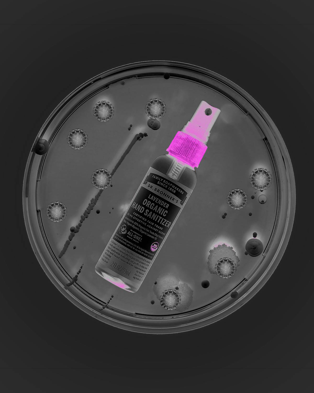 ED_WEB_life_Dr.Bronners_Spray_1
